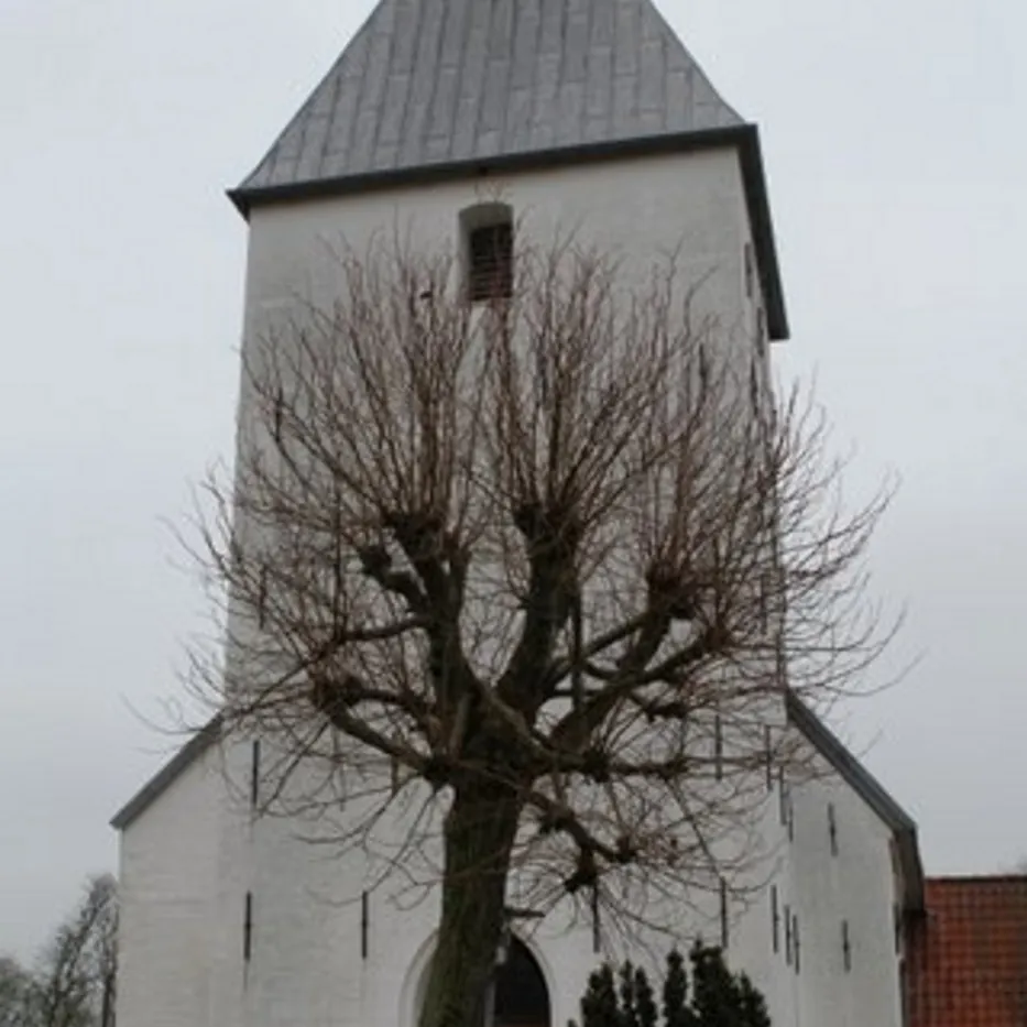 Hvid kirke med gråt spir, nøgent træ i forgrunden på en overskyet dag.