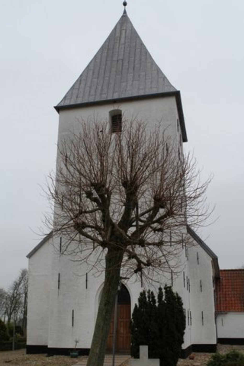 Hvid kirke med gråt spir, nøgent træ i forgrunden på en overskyet dag.