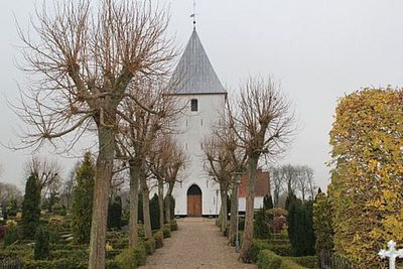 Hvid kirke med spir indrammet af nøgne træer, sti fører til indgangen.
