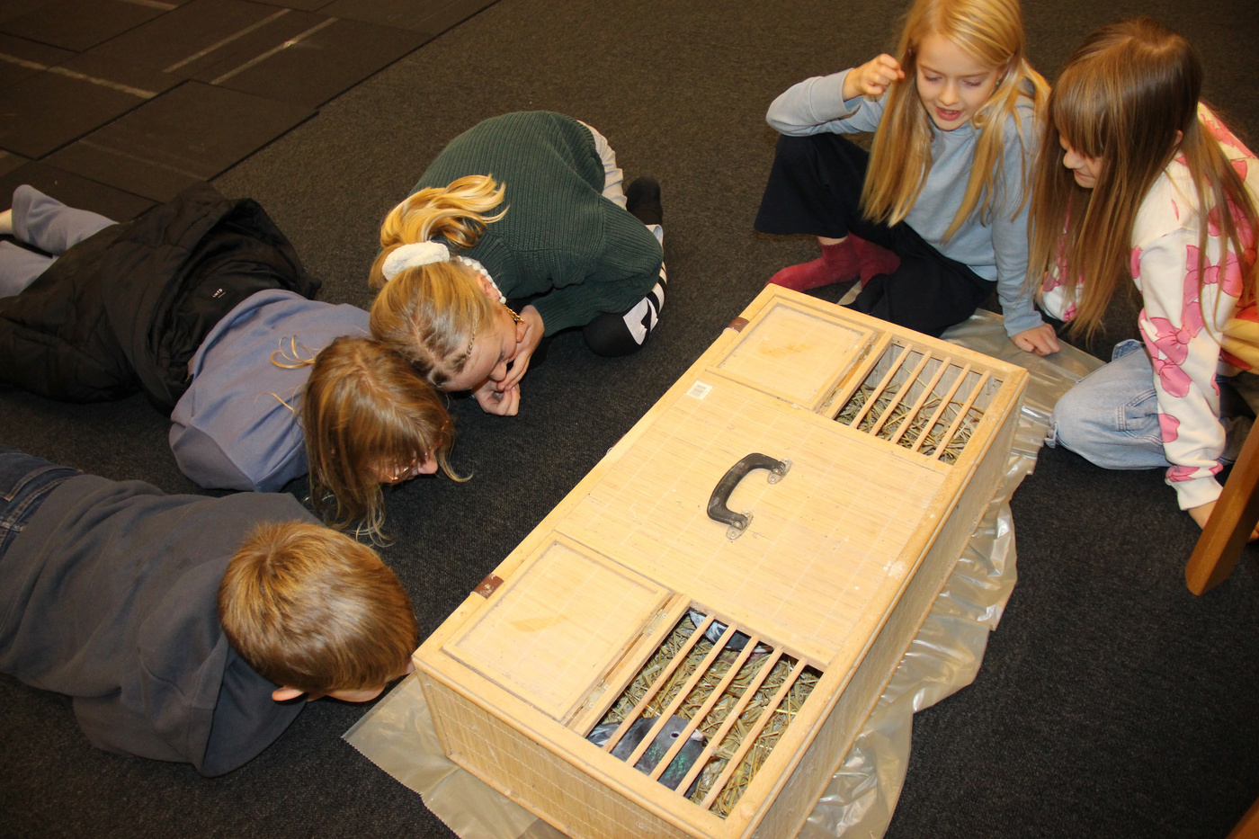 Børn kigger ind i en trækasse til dyr på gulvet.