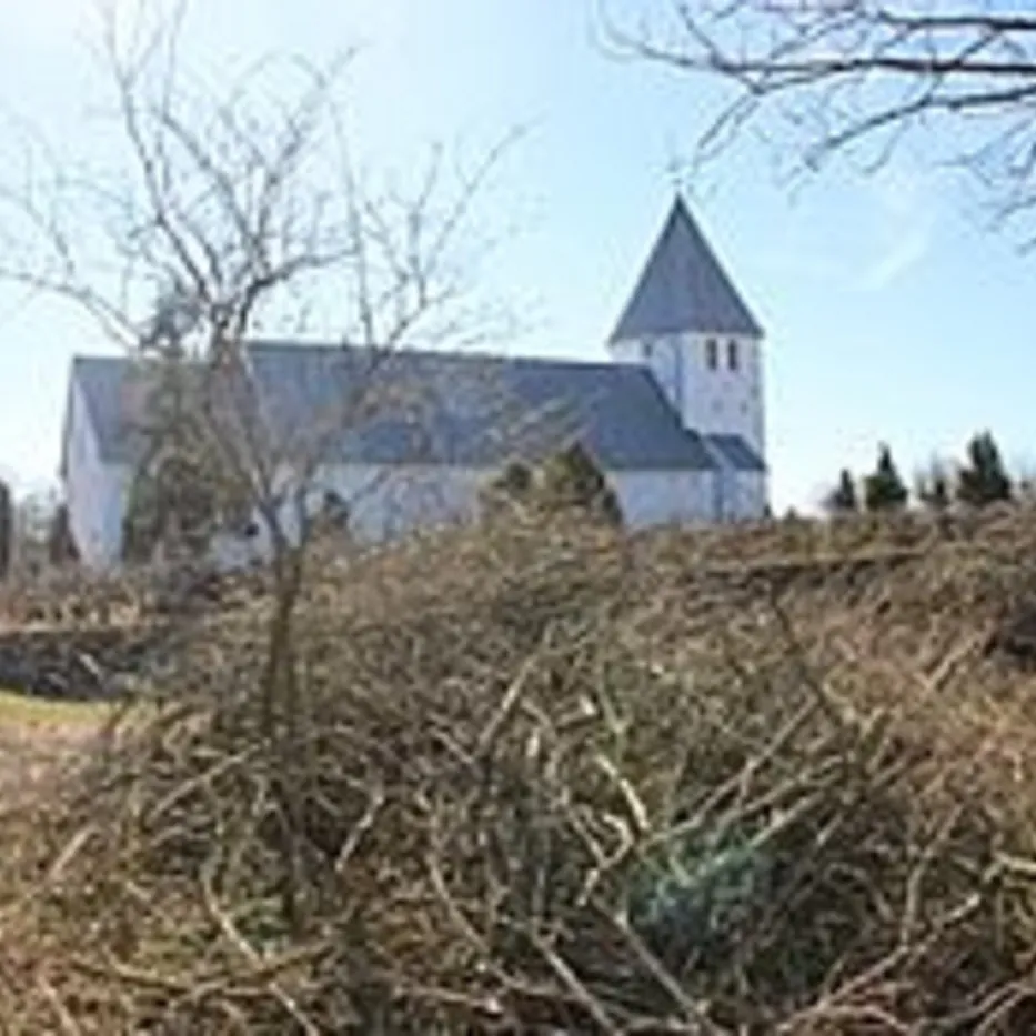 Hvid kirke med spir synlig over tørre buske og nøgne træer.