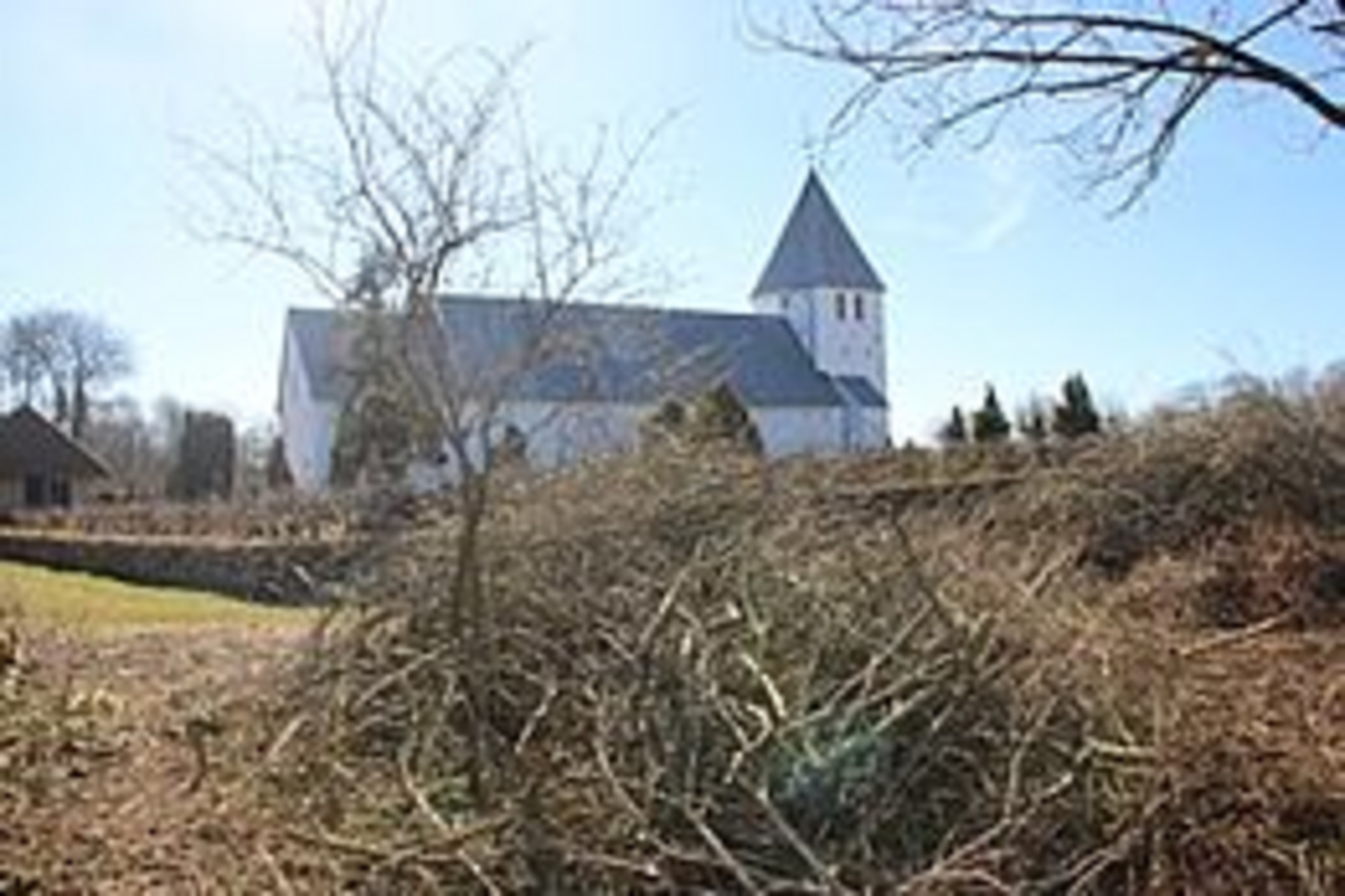 Hvid kirke med spir synlig over tørre buske og nøgne træer.
